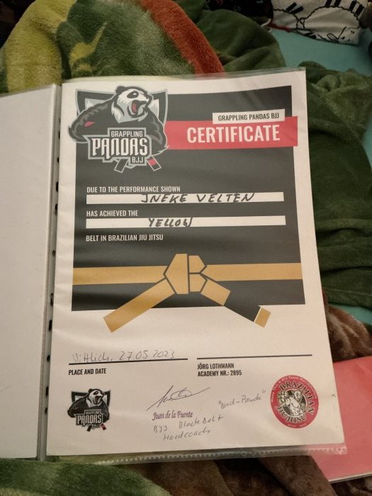 Yellow belt · May 27, 2023 · Promoted by Juan De La Fuente Briones