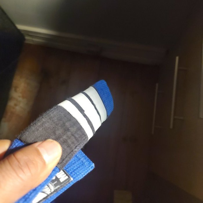Blue belt · November 10, 2023 · Promoted by Richard Quan