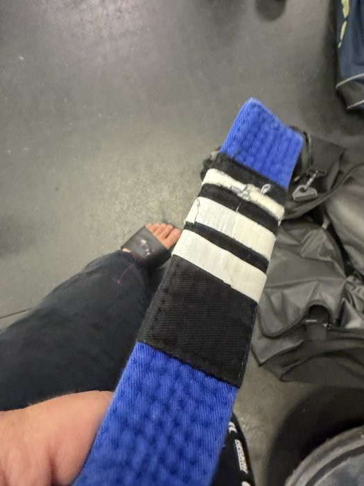 Blue belt · August 1, 2023 · Promoted by Michael Karam