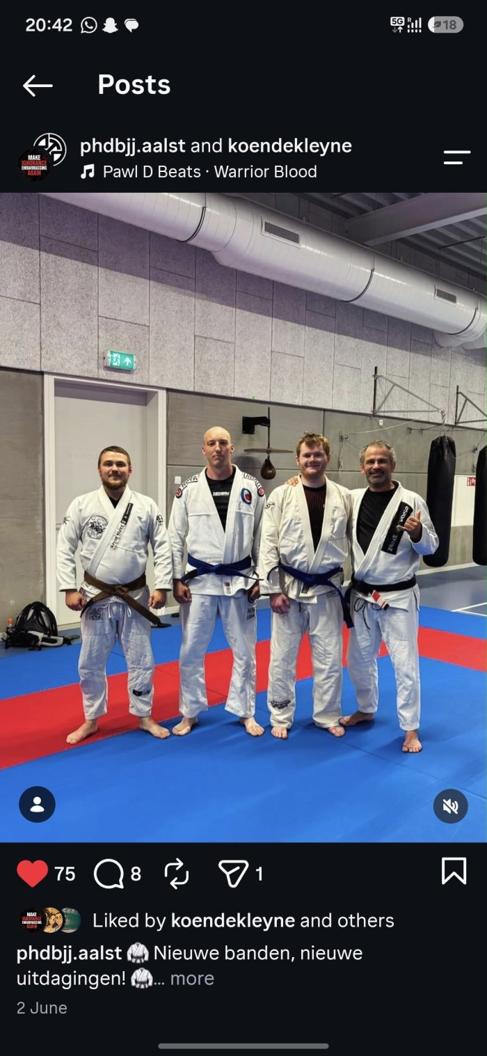 Blue belt · June 1, 2026 · Promoted by Koen Smets