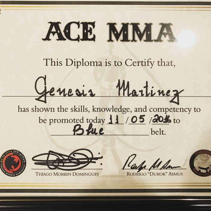 Blue belt · November 5, 2016 · Promoted by Thiago Domingues