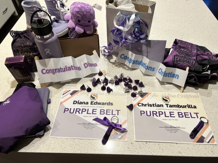 Purple belt · April 18, 2026 · Promoted by Samuel Hertzog Canquerino
