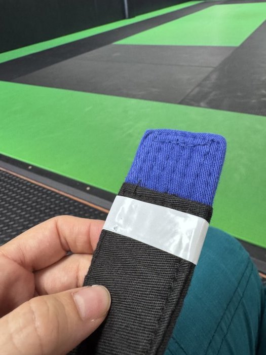 Blue belt · April 27, 2026 · Promoted by Damien Cordova