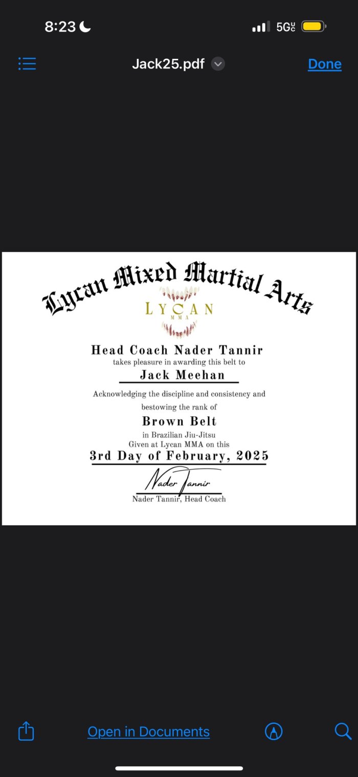 Brown belt · February 12, 2025 · Promoted by Nader Tannir