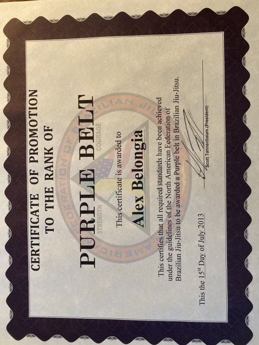 Purple belt · July 15, 2013 · Promoted by Scott Tannenbaum