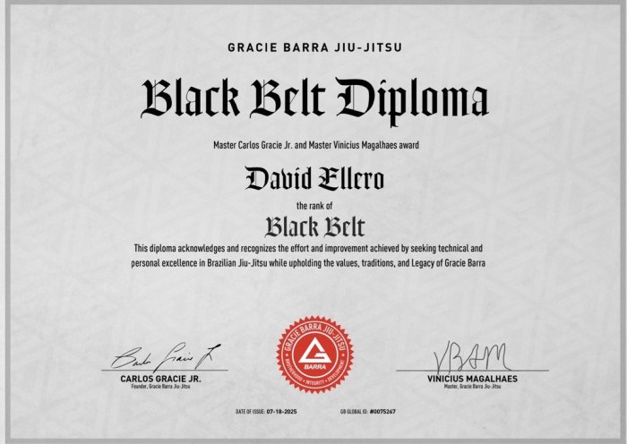 Black belt · July 29, 2025 · Promoted by Vinicius Magalhaes