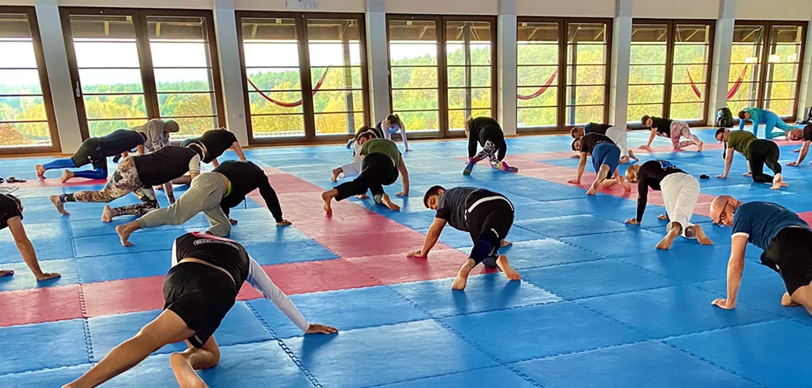 BJJ Globetrotters