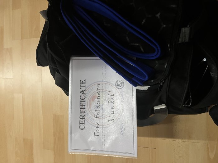 Blue belt · October 7, 2026 · Promoted by Mirco Wendt