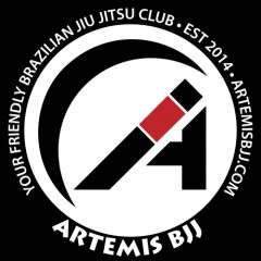 Artemis BJJ Bristol