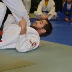 Kail Bosque