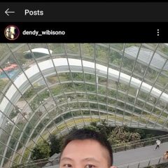 Dendy Wibisono