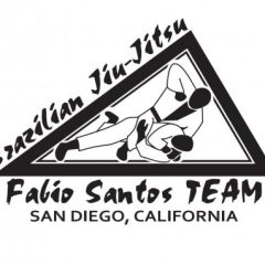 Fabio Santos BJJ
