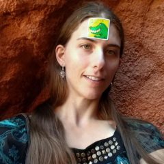 Sarah Wildbahn
