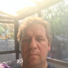 Matt Hodges