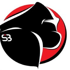 Silverback Academy