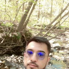 Vahid Mamedov