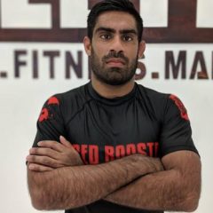 Vivek