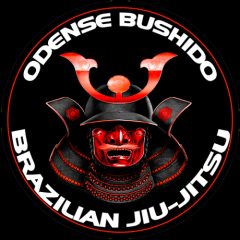 Odense Bushido Klub