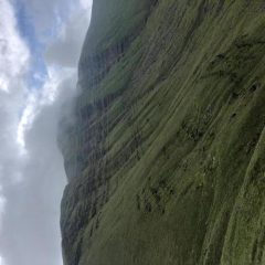 James Beedie
