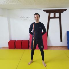 Nicolae Manolache