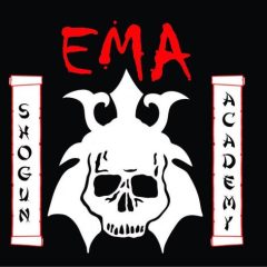 Evolutionary Martial Arts