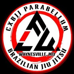 Parabellum Martial Arts and Strength