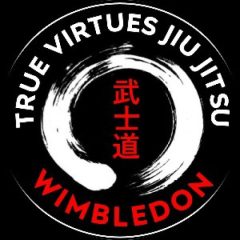 True Virtues Jiu Jitsu - Wimbledon