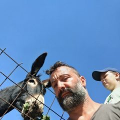Εμμανουήλ Ανδρης